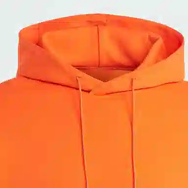 adidas originals Adicolor Neuclassics Hoodie