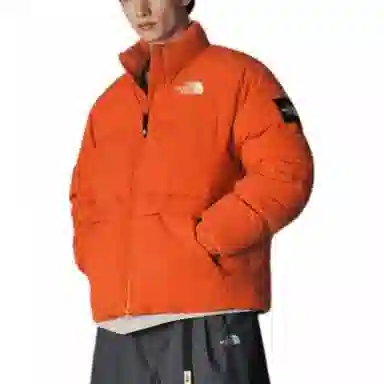 THE NORTH FACE