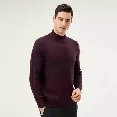 恒源祥 厚款半高领纯羊毛针织毛衣 男款
