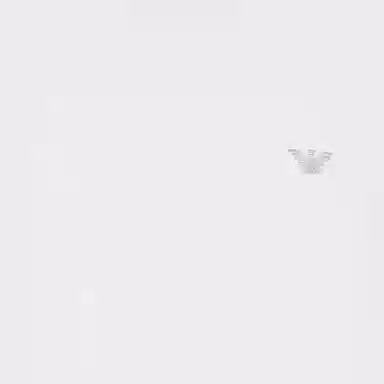 EMPORIO ARMANI SS24 LogoT