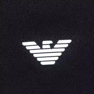 EMPORIO ARMANI SS22 logopolo