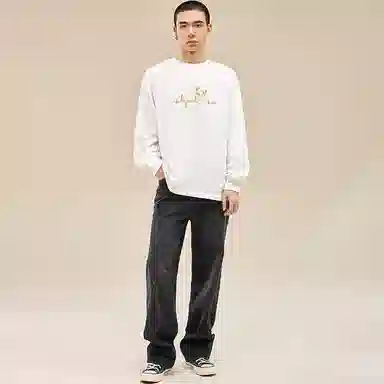 HIPANDA T