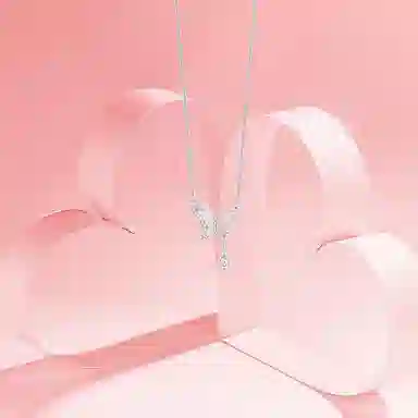 BLANK IN BLANK S925 ins