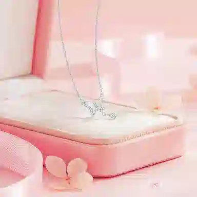 BLANK IN BLANK S925 ins