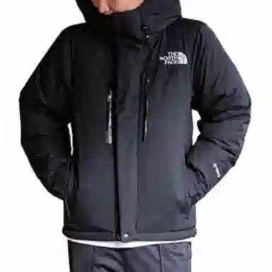 The North Face Logo Hoodie Down Jacket Black