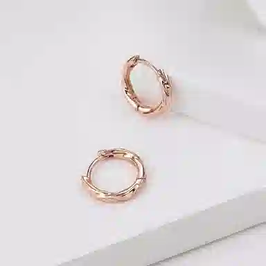 ins S925