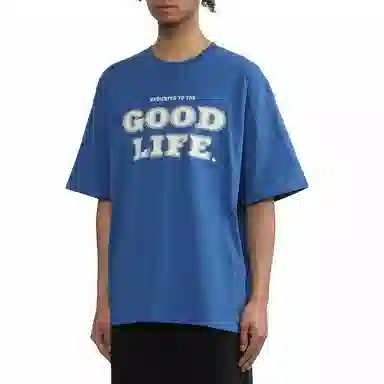 Carhartt WIP Mist T-Shirt T