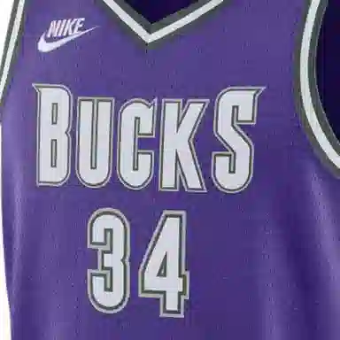 Nike Dri-FIT NBA Swingman Jersey Antetokounmpo 34 Purple