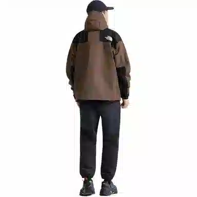 THE NORTH FACE Mountain logo