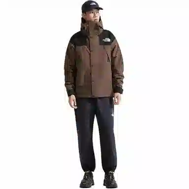 THE NORTH FACE Mountain logo