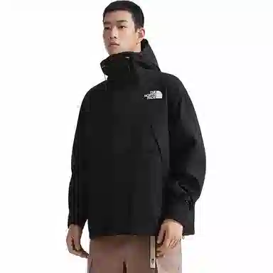 THE NORTH FACE Mountain logo