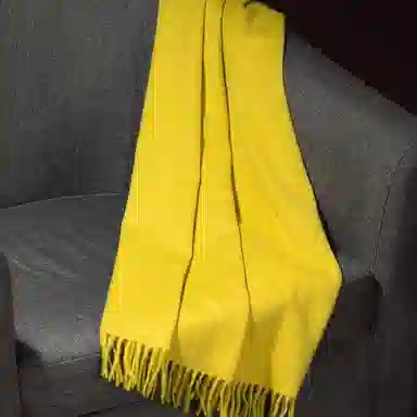 红豆 秋冬季保暖加厚百搭 山羊绒 绒线围巾 女款