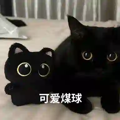 零界 小黑猫公仔 可爱煤球 萌萌少女心 百搭钥匙 包包挂饰 毛绒 挂件 男女同款情侣款