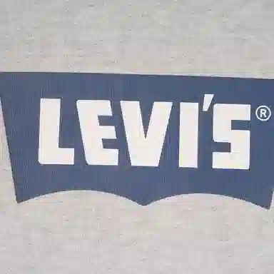 levis FW24 logo