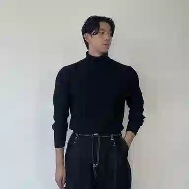 我是大卫 修身竖条纹打底韩系高领商务针织衫 男女同款