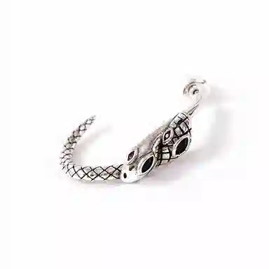 Native Stranger Dual Serpent 925 Silver Earrings
