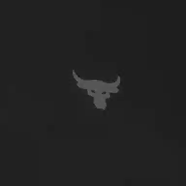 Under Armour Project Rock T