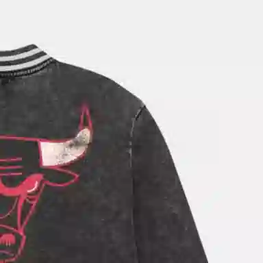Mitchell Ness V