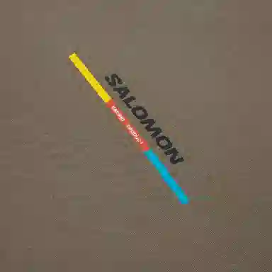 Salomon Sportstyle Hoodie Brown