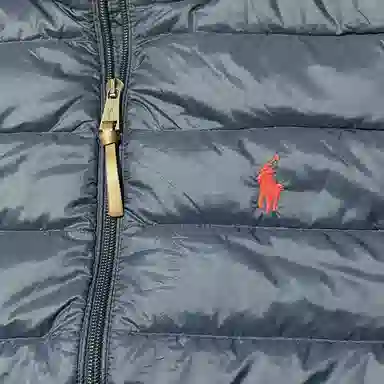 Polo Ralph Lauren Logo