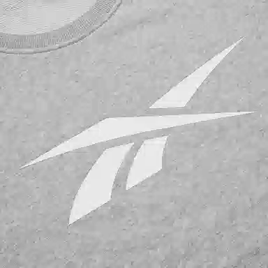 Reebok Classic Logo Crewneck Sweatshirt Grey