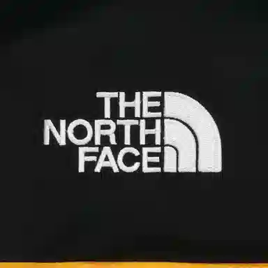 THE NORTH FACE Retro Mountain Light Futurelight