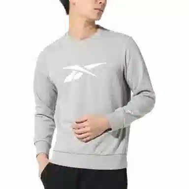 Reebok Classic Logo Crewneck Sweatshirt Grey