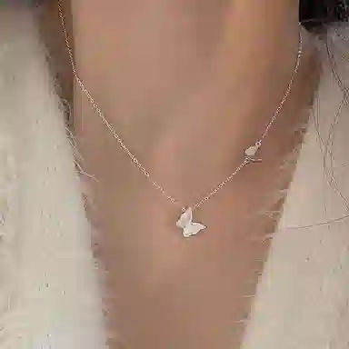 CARAT'SDIARYS925Choker