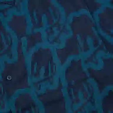 Vans x Asian Artist Collection Blue Shirt