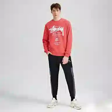 Stussy World Tour Logo
