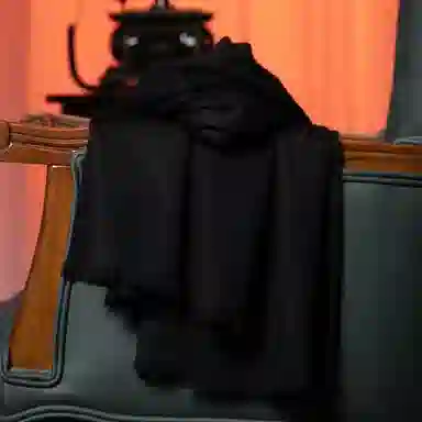 3070