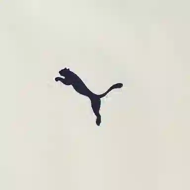 PUMA Hoodie Down Jacket Off White