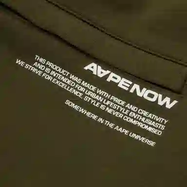 Aape FW24