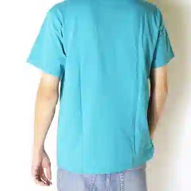 Champion T
