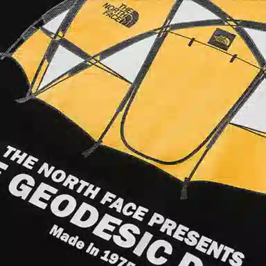 THE NORTH FACE Icon