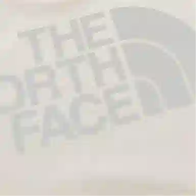 THE NORTH FACE SS UE T