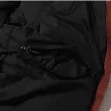 The North Face Nuptse Brown