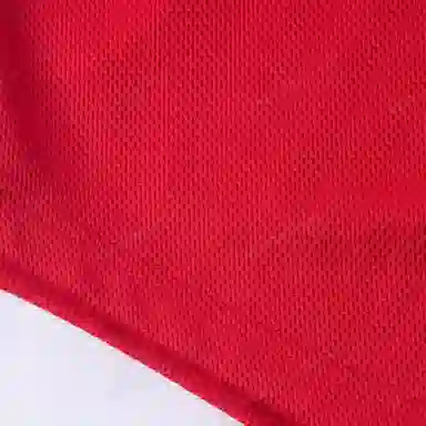 Mitchell Ness LogoVT