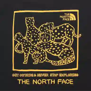 THE NORTH FACE Pomvia T