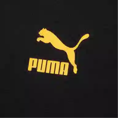 PUMA Classics PC Graphic Tee