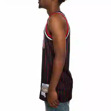 Mitchell Ness NBA SW 33