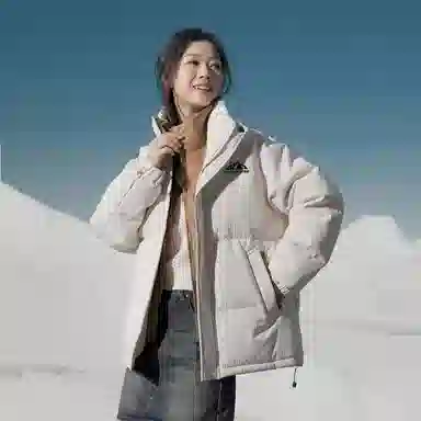 SNOW FLYING 85logo