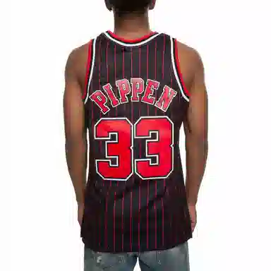 Mitchell Ness NBA SW 33