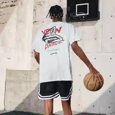 VEIDOORN T
