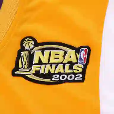 Mitchell Ness AU 2001-2002