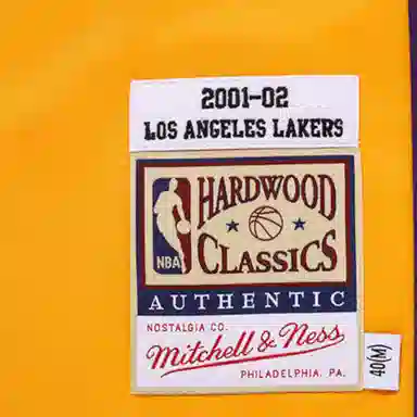 Mitchell Ness AU 2001-2002