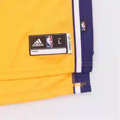 adidas NBA 10--11 SWingman