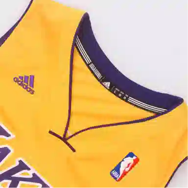 adidas NBA 10--11 SWingman