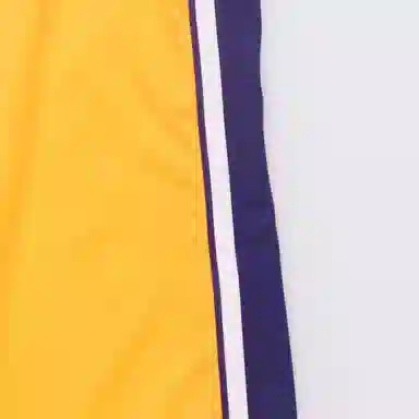 adidas NBA 10--11 SWingman