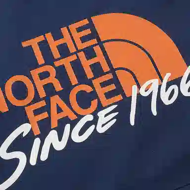 THE NORTH FACE Logo